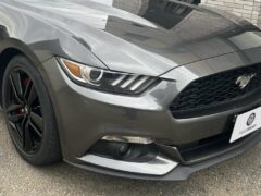 マスタング写真