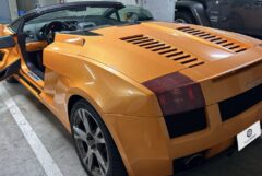 ガヤルドスパイダー画像